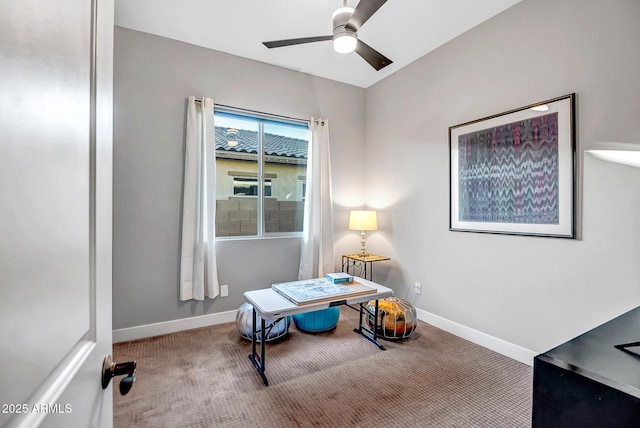 office space with ceiling fan and carpet floors