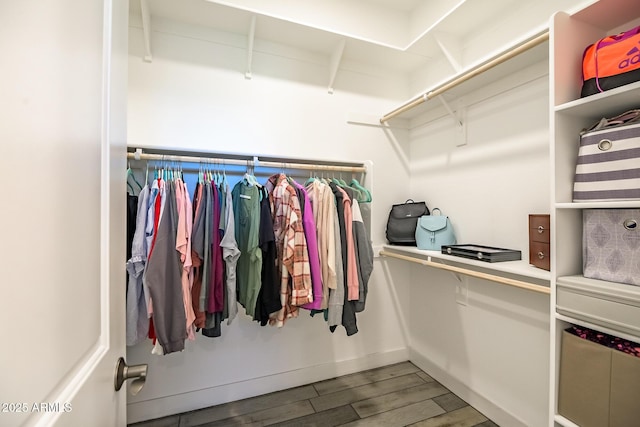 walk in closet featuring wood-type flooring