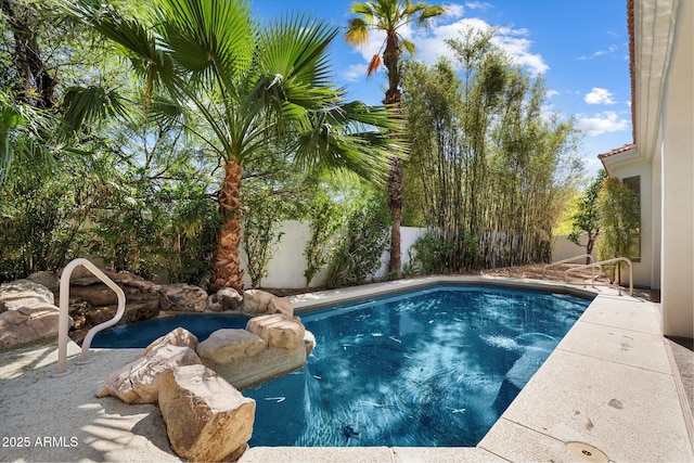 view of pool featuring a fenced in pool and a fenced backyard