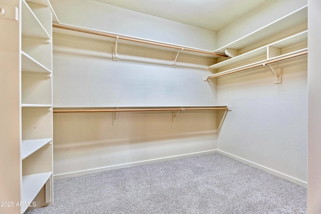 spacious closet with carpet floors