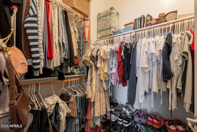 view of walk in closet