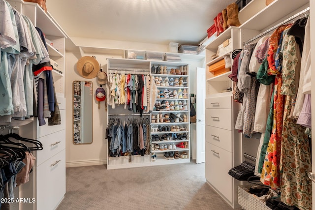 walk in closet featuring carpet flooring