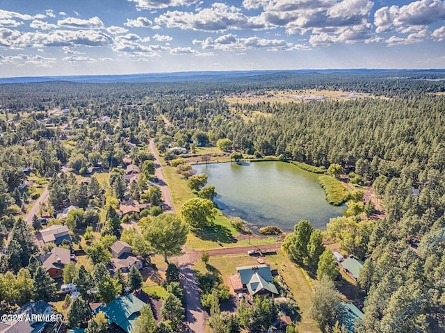 bird's eye view with a view of trees and a water view