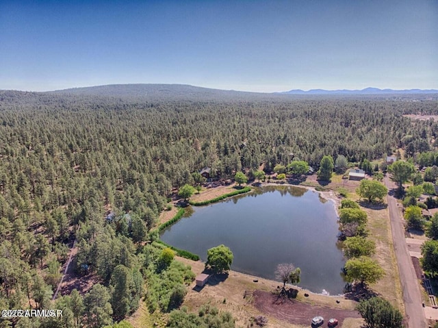 birds eye view of property with a view of trees and a water view