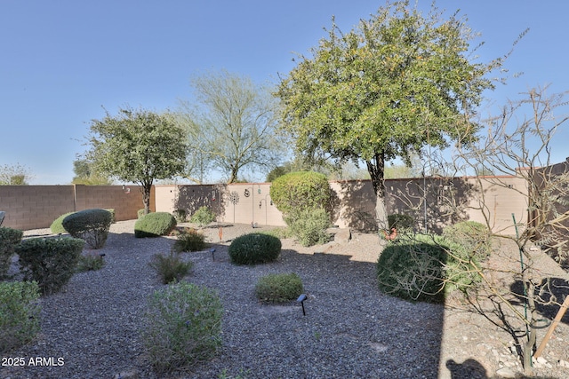 view of yard with a fenced backyard