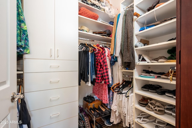 view of spacious closet