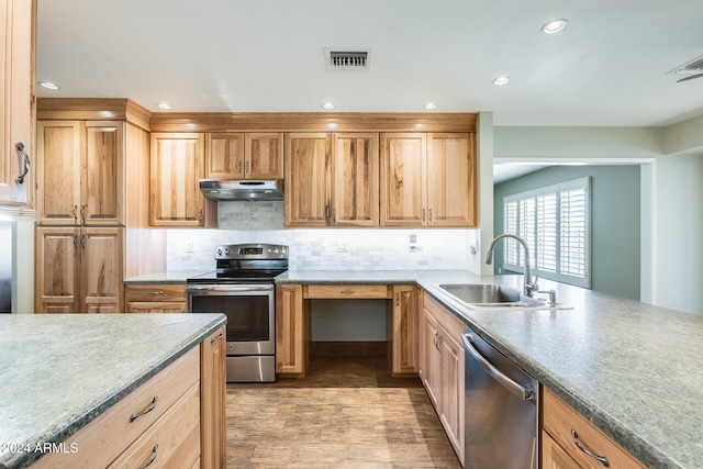 kitchen featuring light hardwood / wood-style flooring, appliances with stainless steel finishes, sink, and backsplash