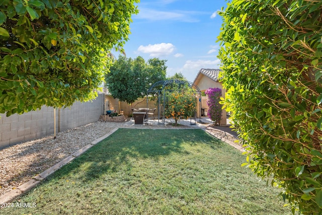 view of yard featuring a patio area