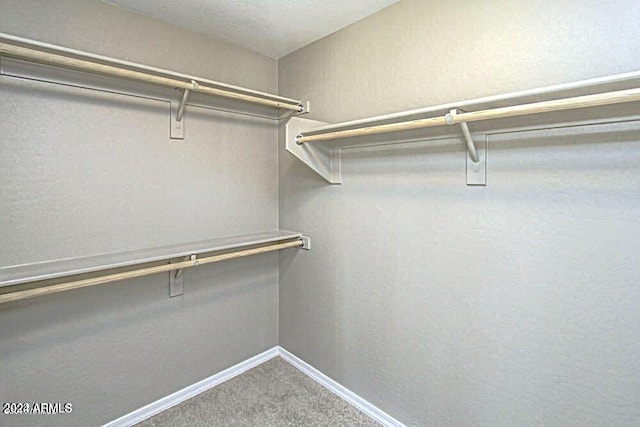 spacious closet with carpet flooring