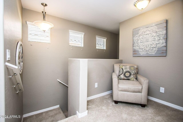 living area featuring light colored carpet