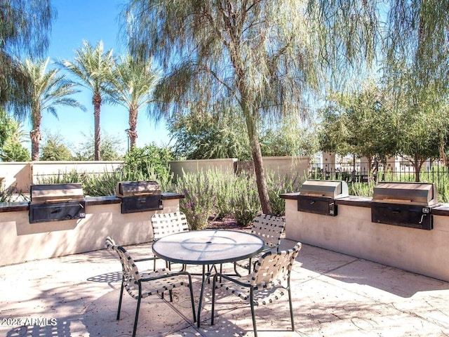 view of patio / terrace featuring area for grilling and grilling area