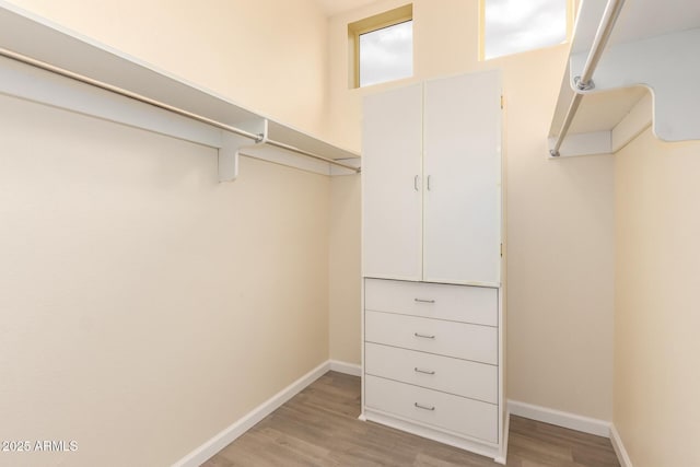 22319 N Desperado Dr, Sun City West, AZ 85375 - walk in closet featuring light wood-style floors