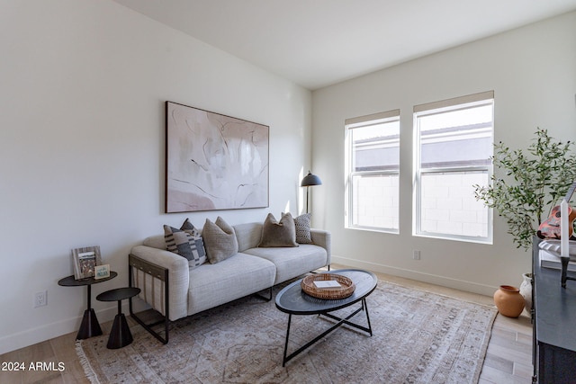 living room with light hardwood / wood-style flooring