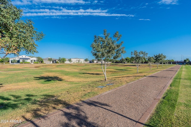 view of home's community with a lawn