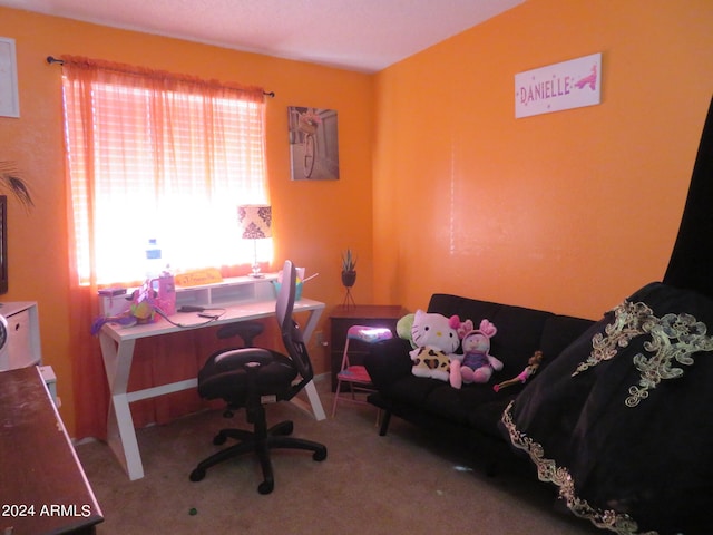 office area featuring a wealth of natural light and carpet floors