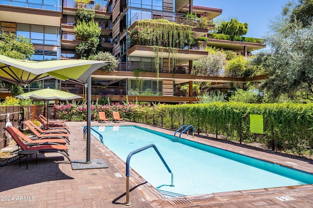 view of pool with a patio