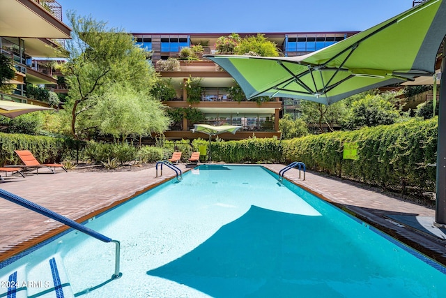 view of pool featuring a patio area