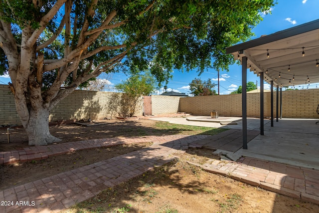 view of yard with a patio