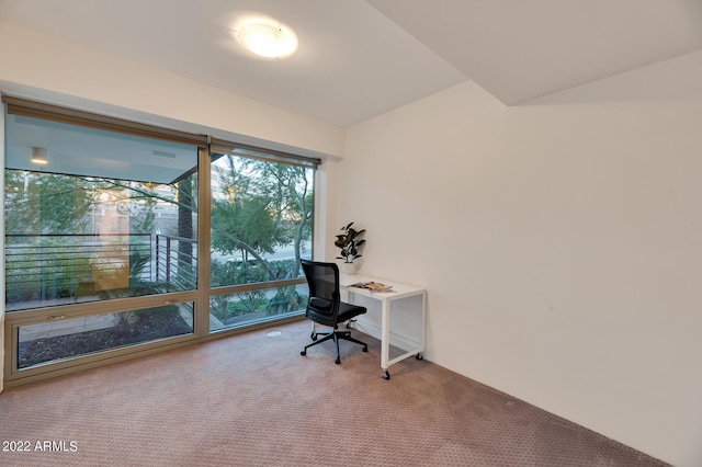 view of carpeted office