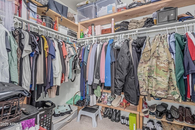 view of walk in closet