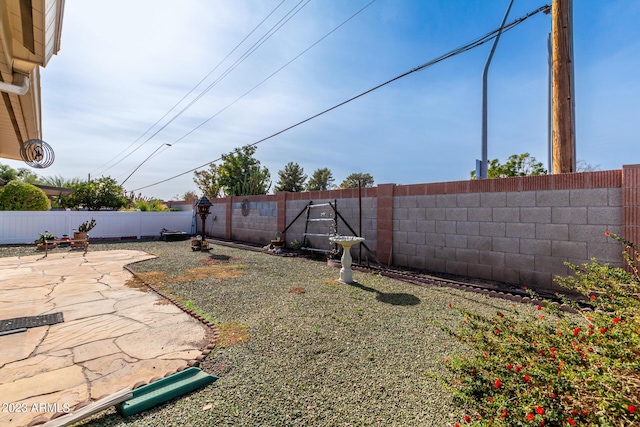 view of yard with a patio