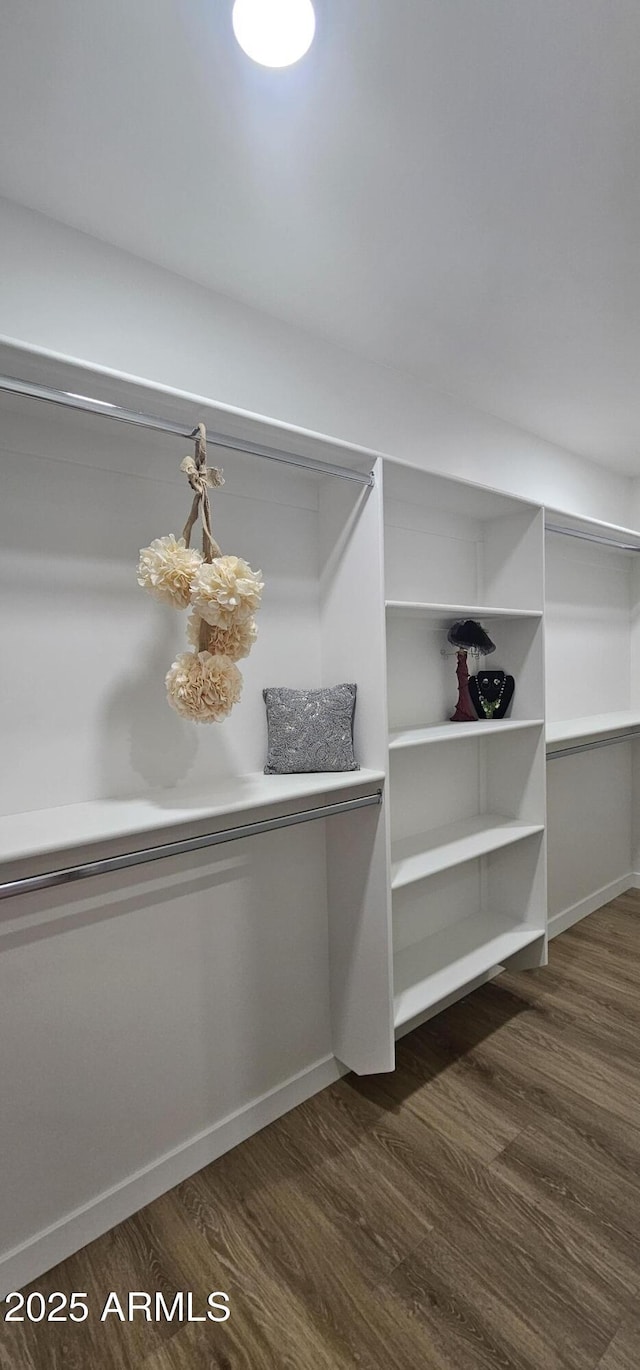 spacious closet with dark wood-type flooring