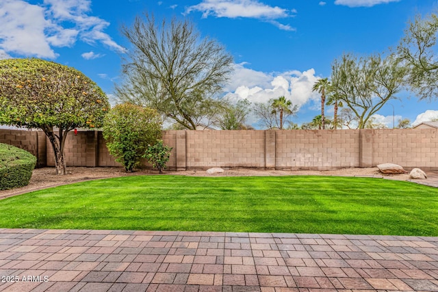 view of yard with a fenced backyard