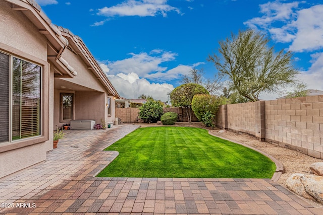 view of yard with a patio area and a fenced backyard