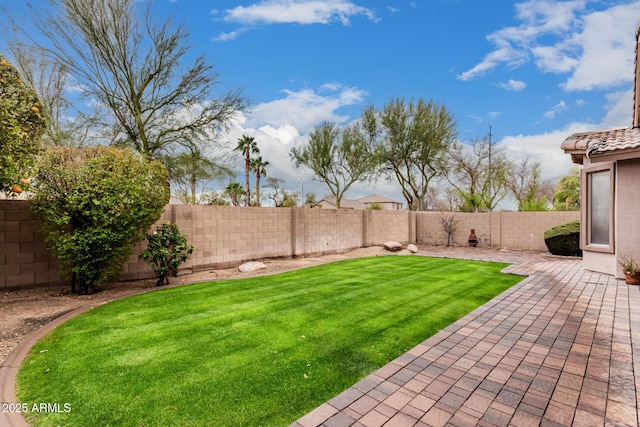 view of yard featuring a patio area and a fenced backyard