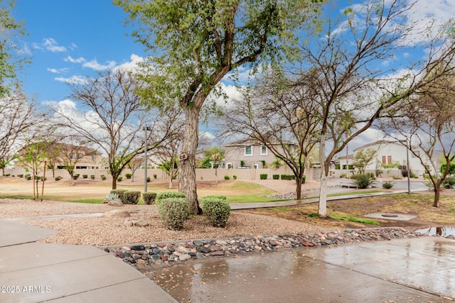 view of yard with a residential view