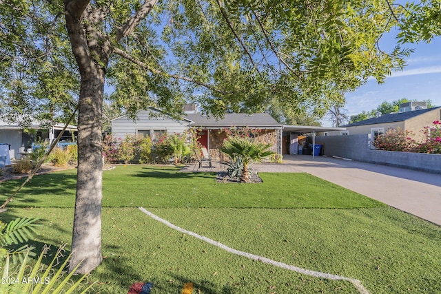 ranch-style home featuring a front lawn and a carport