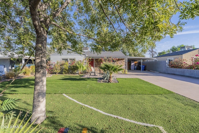 view of front of home featuring concrete driveway, an attached carport, and a front lawn