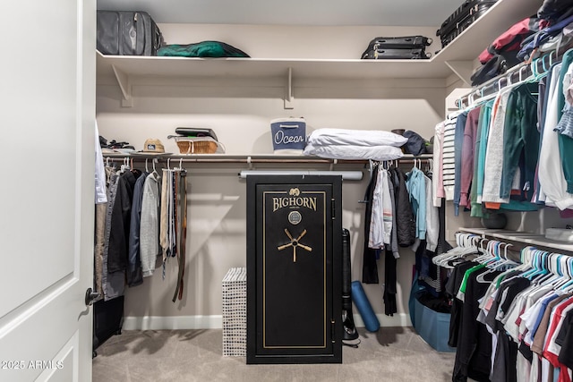 spacious closet with carpet