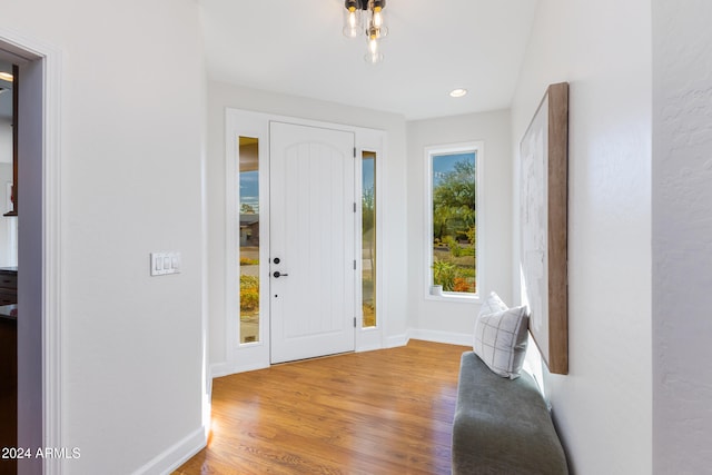 foyer entrance with hardwood / wood-style floors