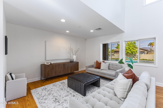 living room with hardwood / wood-style flooring