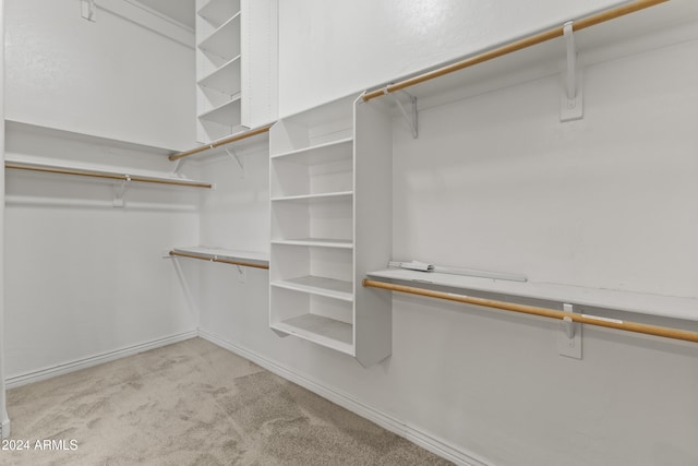 spacious closet with light carpet