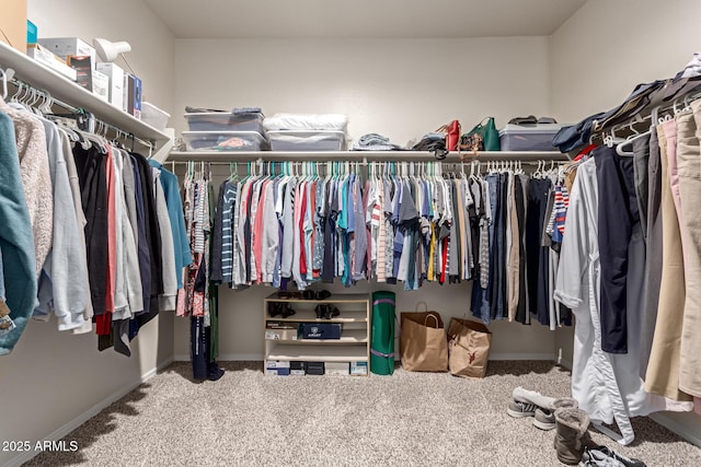 spacious closet with carpet