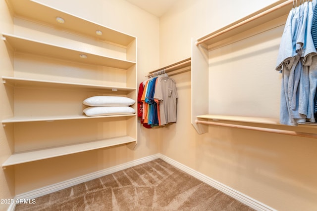 7969 S 172nd St, Queen Creek, AZ 85142 - walk in closet with carpet floors