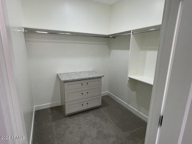 spacious closet with dark carpet