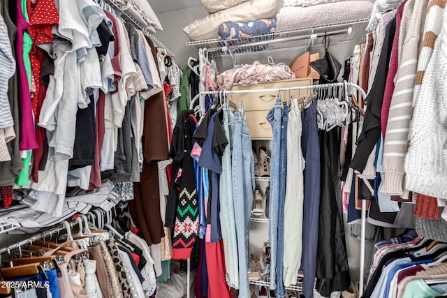 520 N Stapley Dr Unit 286, Mesa, AZ 85203 - view of walk in closet