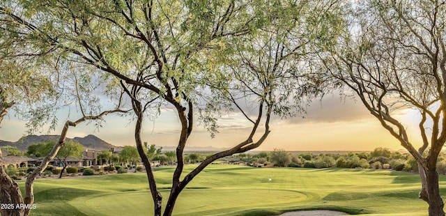 7751 E Golden Eagle Cir, Gold Canyon, AZ 85118 - view of home's community featuring view of golf course, a mountain view, and a yard