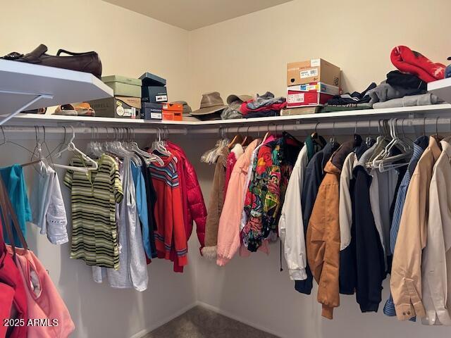 3242 W Christy Dr, Phoenix, AZ 85029 - walk in closet with carpet