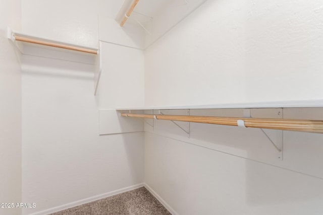12132 W Caribbean Ln, El Mirage, AZ 85335 - walk in closet featuring carpet flooring