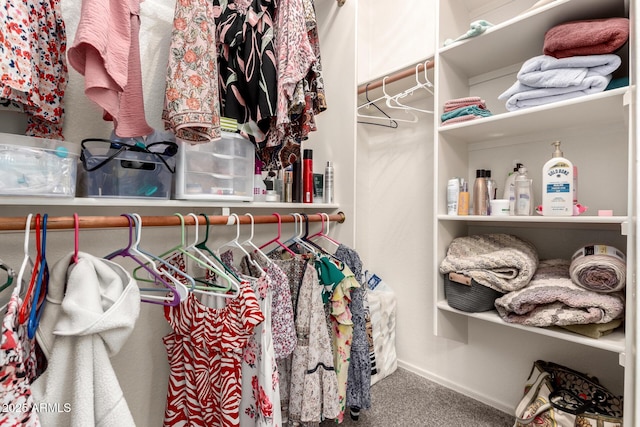 spacious closet with carpet