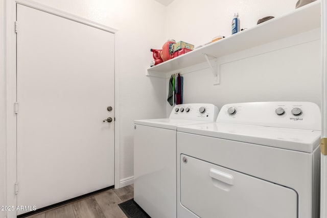 laundry room featuring washing machine and clothes dryer and light hardwood / wood-style flooring