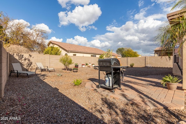 view of yard with a patio area