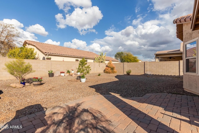 view of yard with a patio