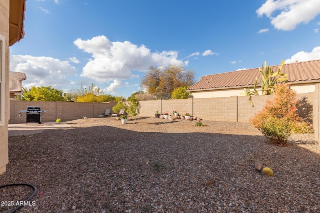 view of yard featuring a patio