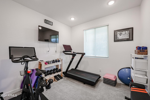 exercise area featuring carpet flooring