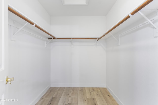 spacious closet featuring light wood-type flooring